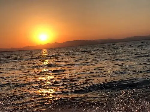 Homely Blasco Ibanez Апартаменты *