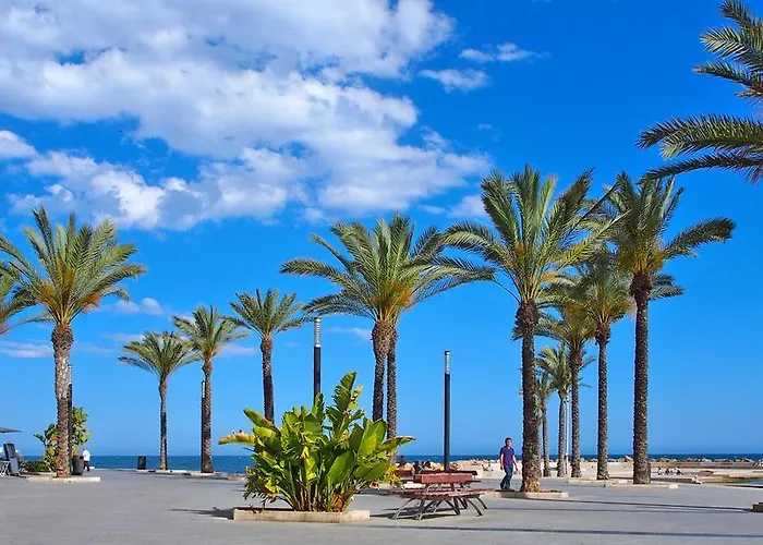 Homely Blasco Ibanez