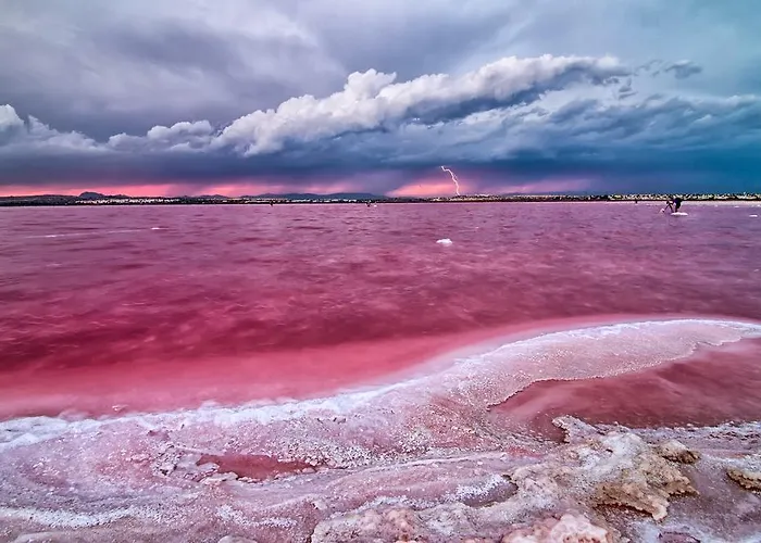 Homely Blasco Ibanez