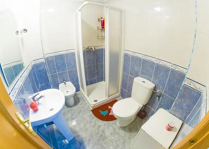 Homely Blasco Ibanez