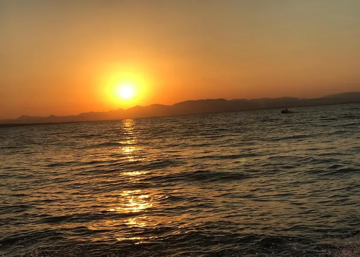 Апартаменты Homely Blasco Ibanez Торевьиа