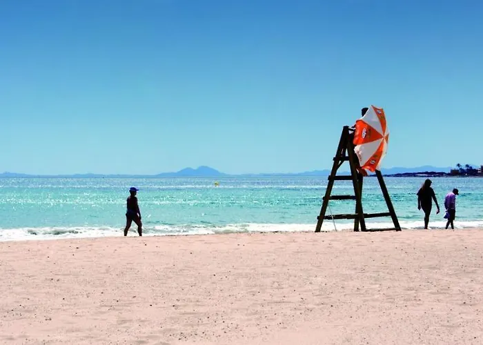 Homely Blasco Ibanez